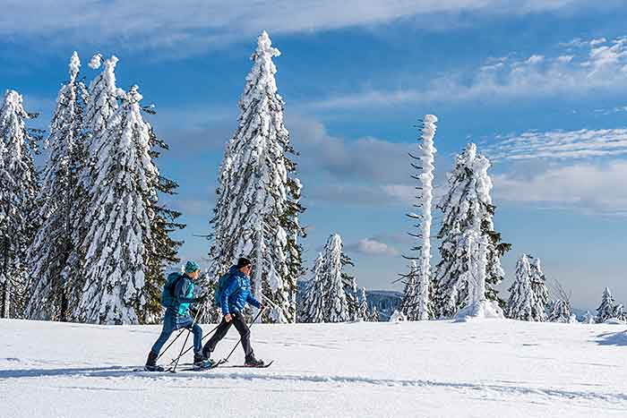 Schneeschuh-wandern im Bayerischen Wald